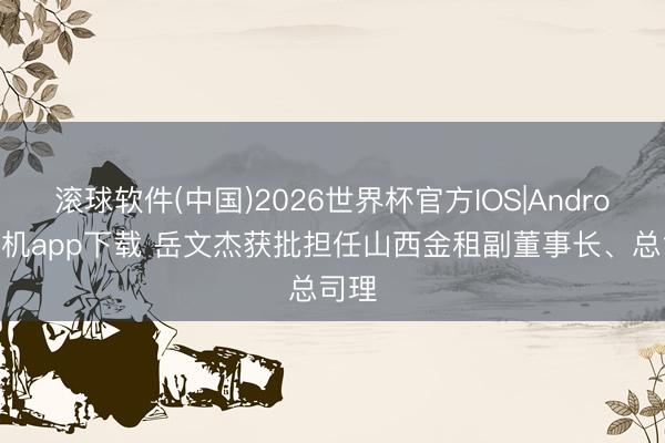 滚球软件(中国)2026世界杯官方IOS|Android手机app下载 岳文杰获批担任山西金租副董事长、总司理