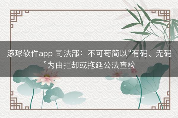 滚球软件app 司法部：不可苟简以“有码、无码”为由拒却或拖延公法查验