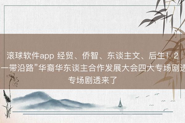滚球软件app 经贸、侨智、东谈主文、后生！2026“一带沿路”华裔华东谈主合作发展大会四大专场剧透来了