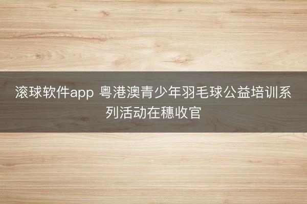 滚球软件app 粤港澳青少年羽毛球公益培训系列活动在穗收官
