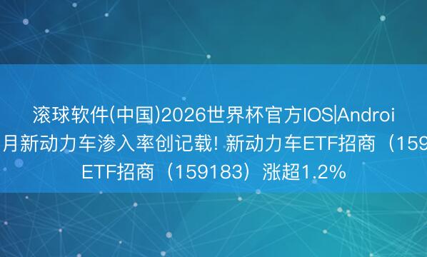 滚球软件(中国)2026世界杯官方IOS|Android手机app下载 6月新动力车渗入率创记载! 新动力车ETF招商(159183)涨超1.2%