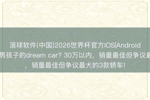 滚球软件(中国)2026世界杯官方IOS|Android手机app下载 男孩子的dream car? 30万以内，销量最佳但争议最大的3款轿车!