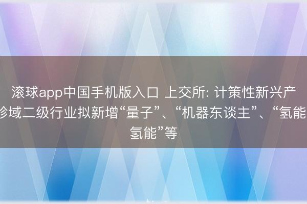 滚球app中国手机版入口 上交所: 计策性新兴产业畛域二级行业拟新增“量子”、“机器东谈主”、“氢能”等