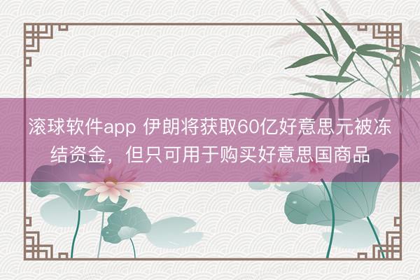 滚球软件app 伊朗将获取60亿好意思元被冻结资金,但只可用于购买好意思国商品