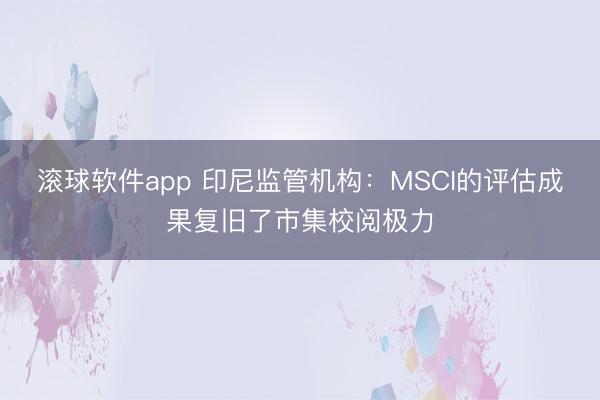 滚球软件app 印尼监管机构：MSCI的评估成果复旧了市集校阅极力