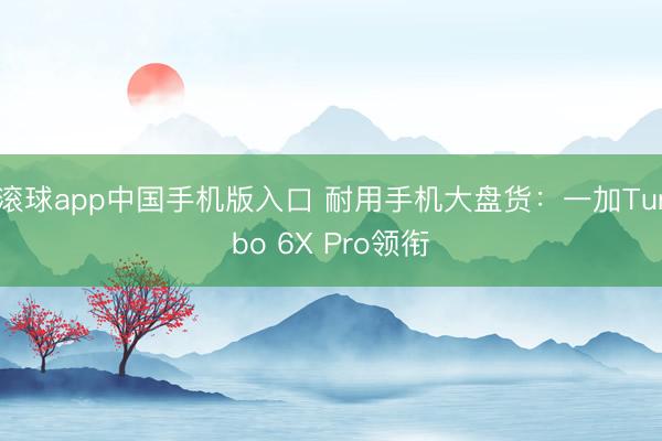 滚球app中国手机版入口 耐用手机大盘货：一加Turbo 6X Pro领衔