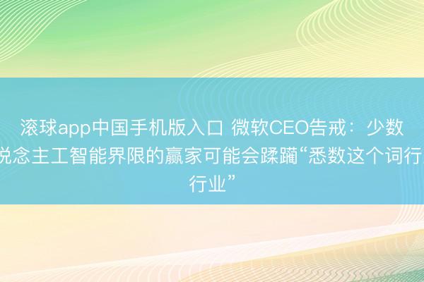 滚球app中国手机版入口 微软CEO告戒：少数东说念主工智能界限的赢家可能会蹂躏“悉数这个词行业”