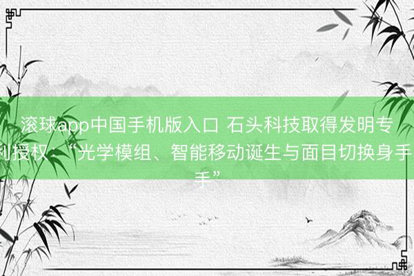 滚球app中国手机版入口 石头科技取得发明专利授权：“光学模组、智能移动诞生与面目切换身手”
